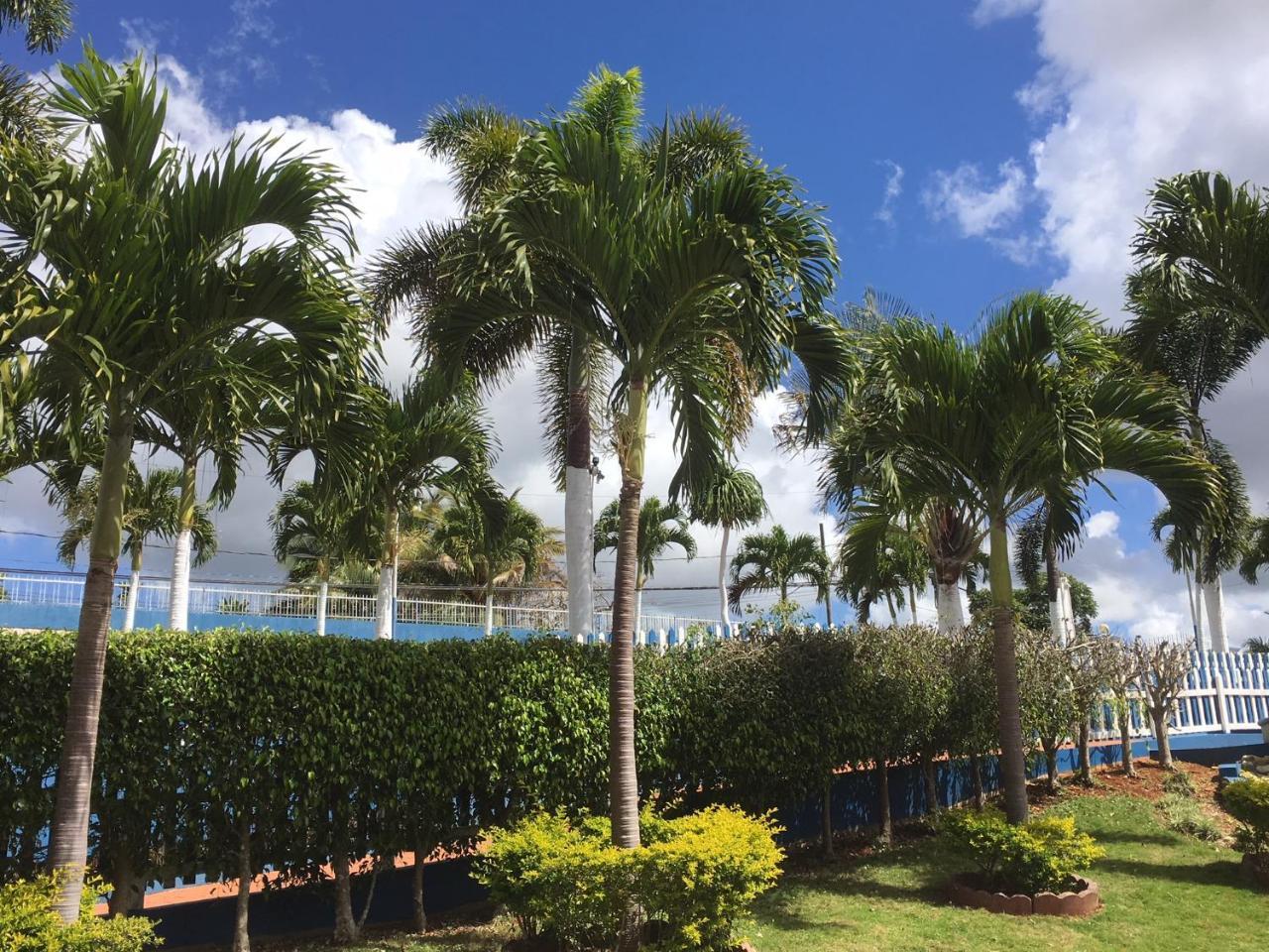 Tropics View Jamaica Hotel Hatfield Exterior photo